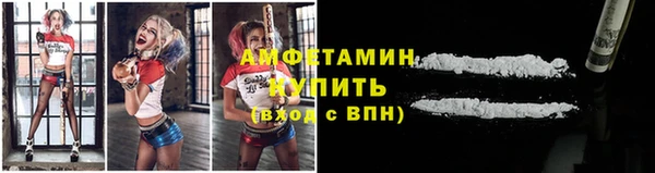 стаф Белокуриха