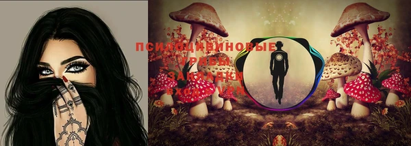 стаф Белокуриха