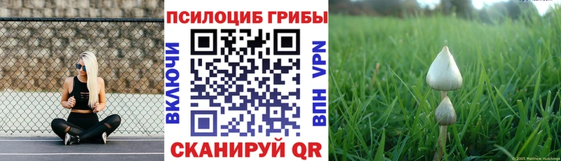 Галлюциногенные грибы ЛСД  купить закладку  Демидов 
